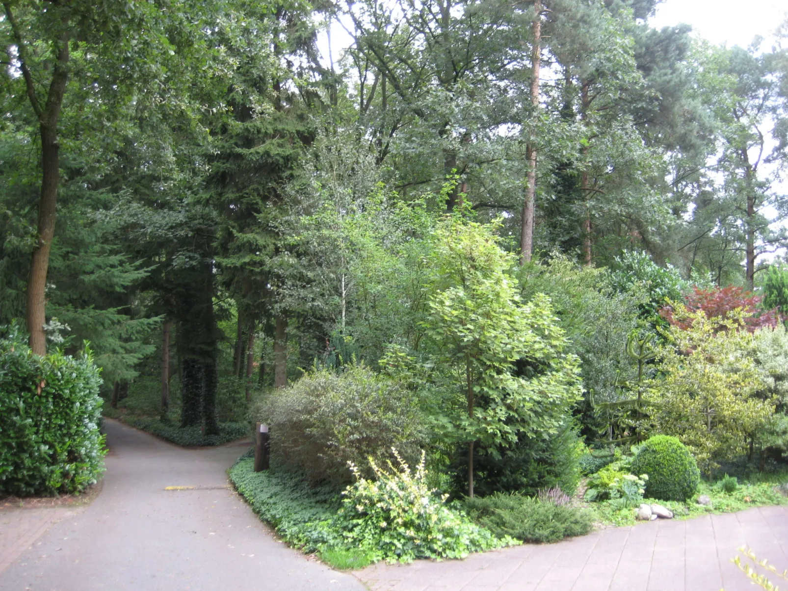 6L-Draußen