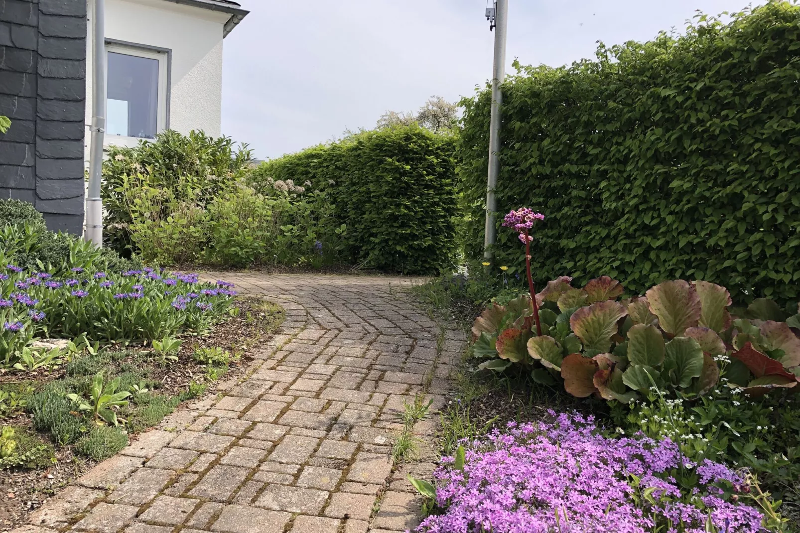 Freundlich Siedlinghausen-Extérieur été