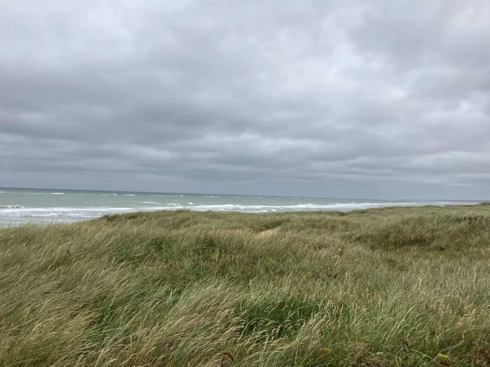 "Zina" - 50m from the sea-Draußen