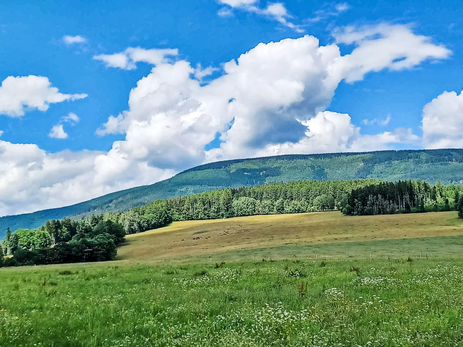 V Mechu-Area