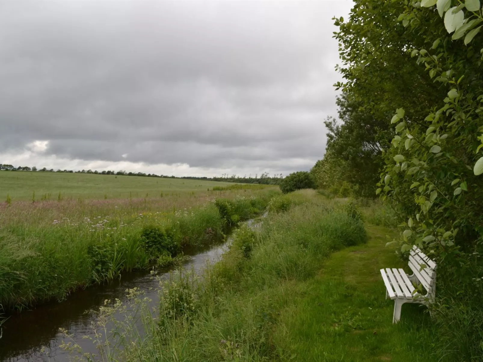"Saran" - 30km from the sea-Outside