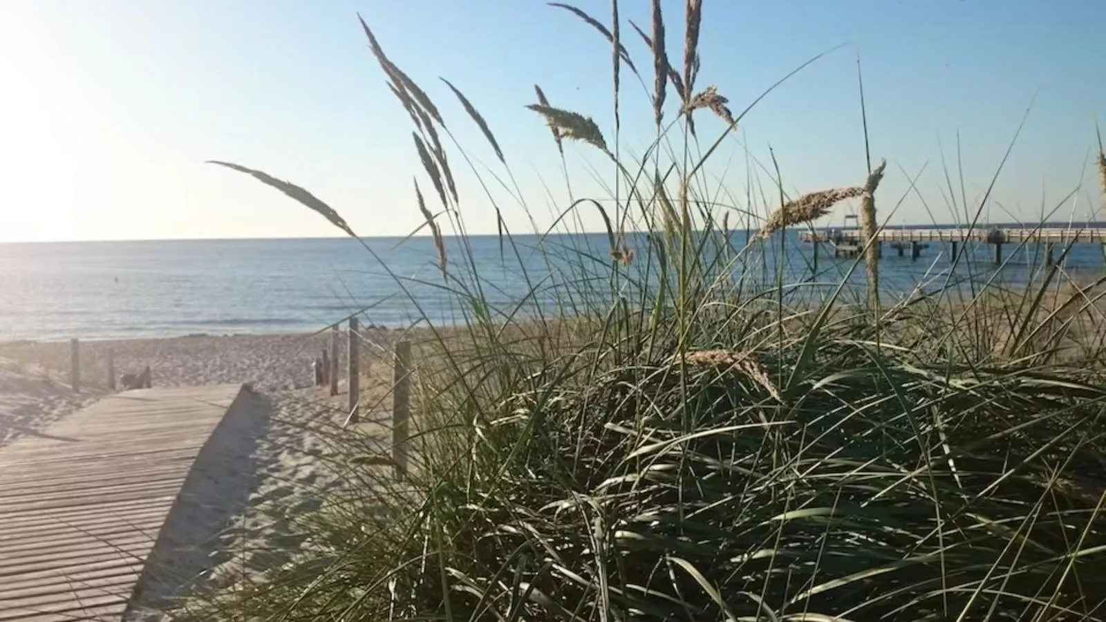Gutshof Detershagen XL-Areas summer 20km