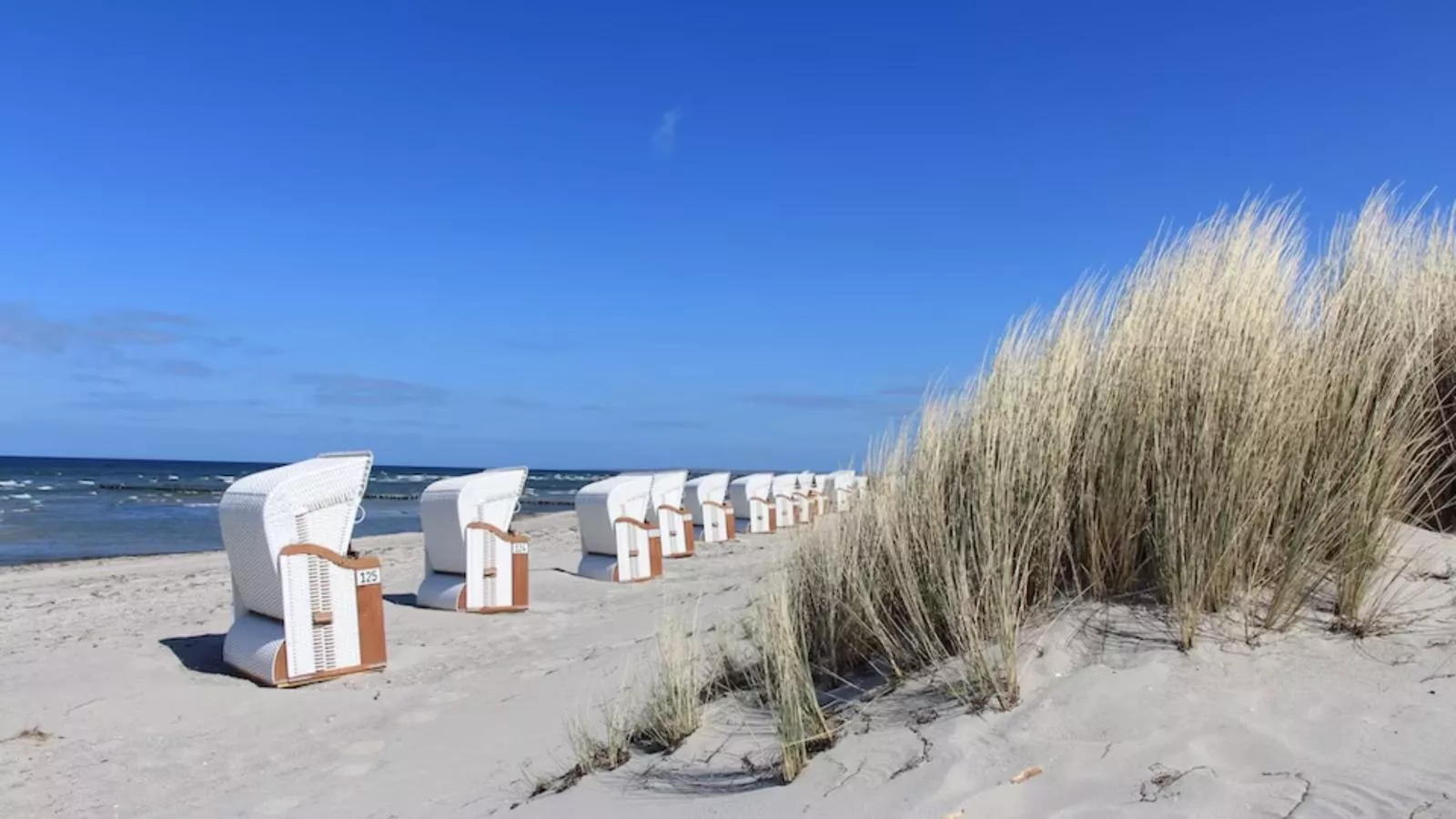 Gutshof Detershagen XL-Areas summer 20km