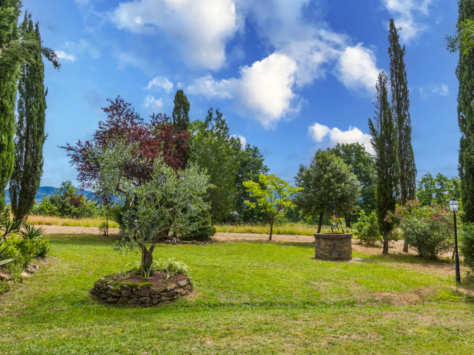 Tenuta La Colonna-Outside