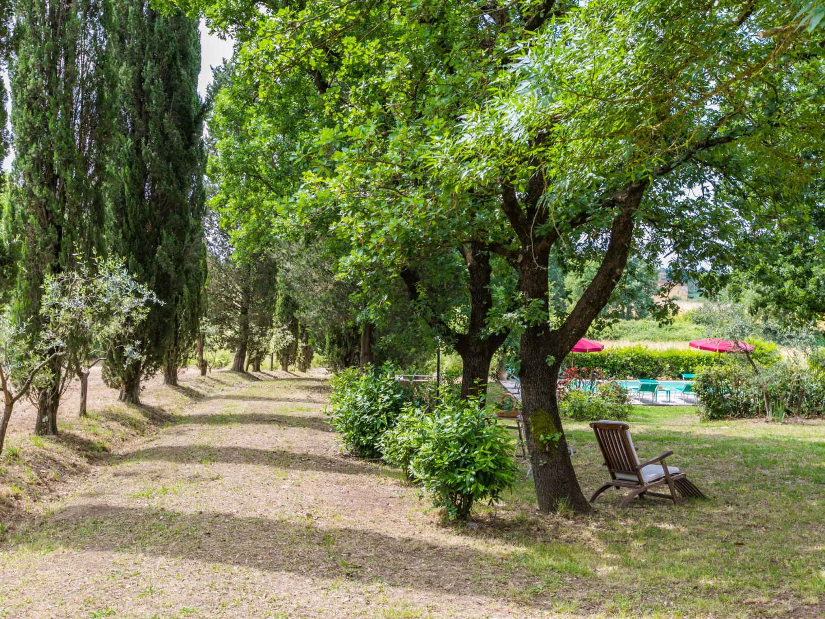 Tenuta La Colonna-Outside