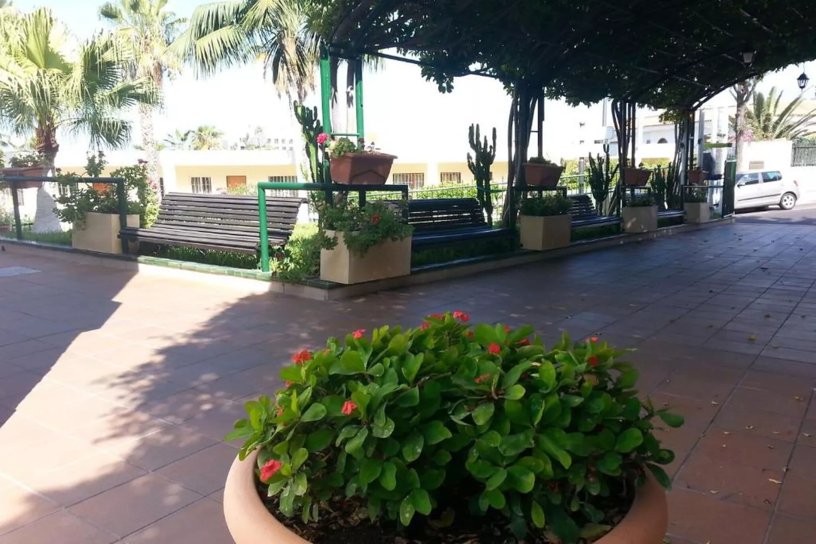 Studio El Sombrero-Gardens summer