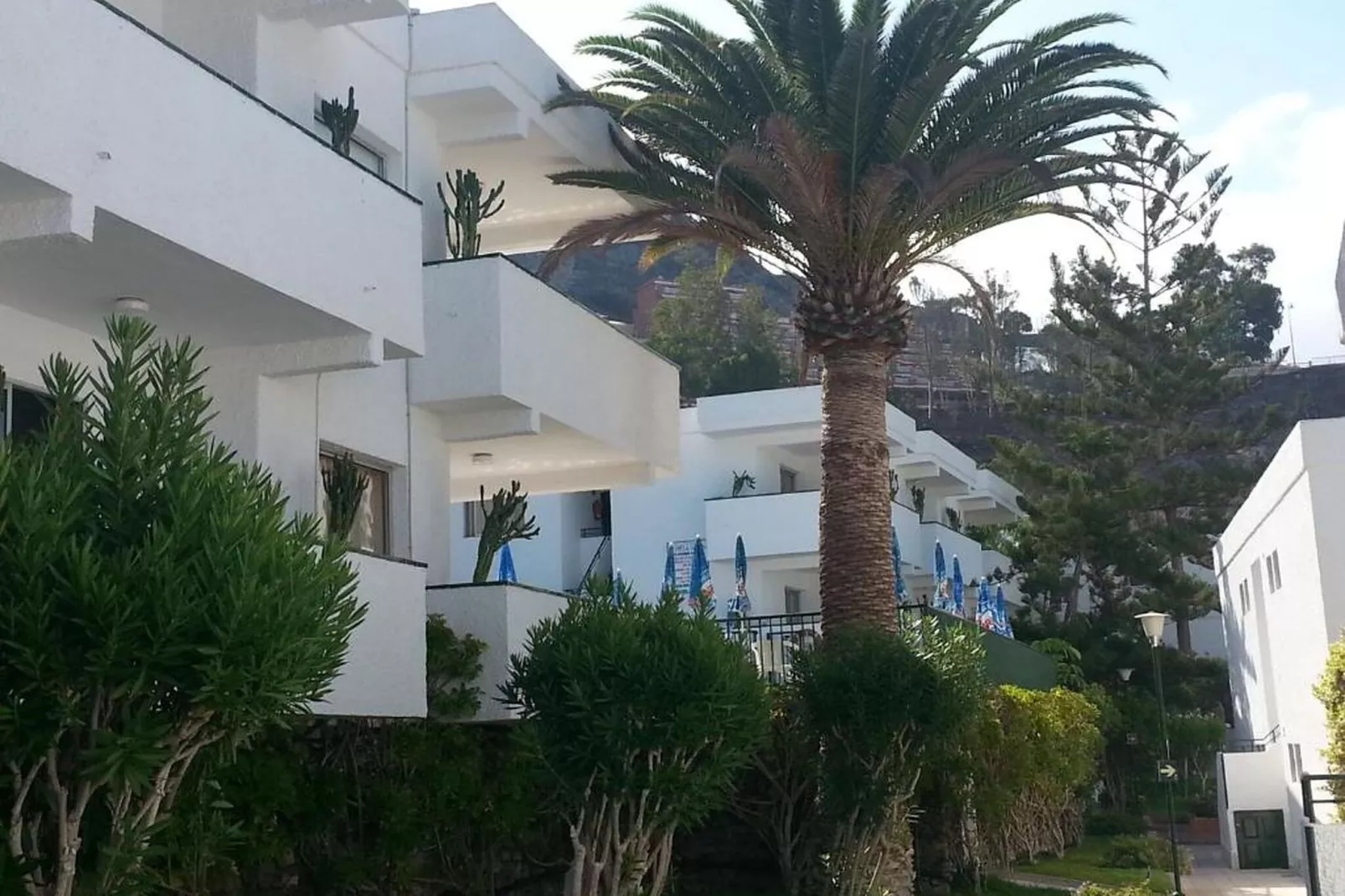 Studio El Sombrero-Exterior summer