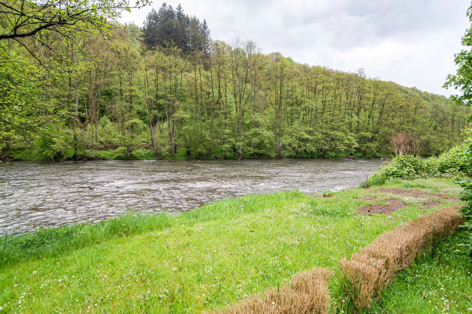 Nr 48-Areas summer 1km
