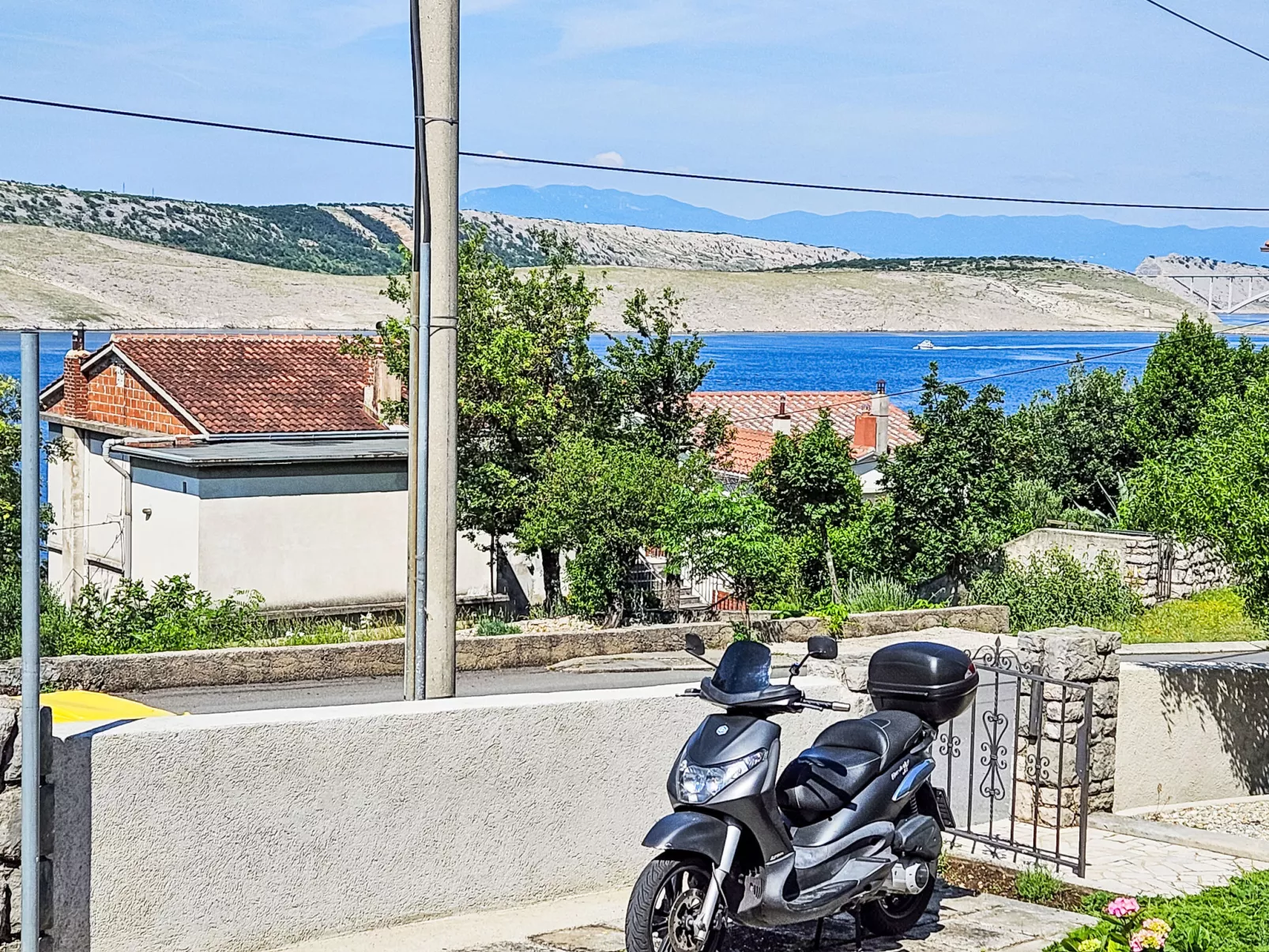 Šegulja-Outside