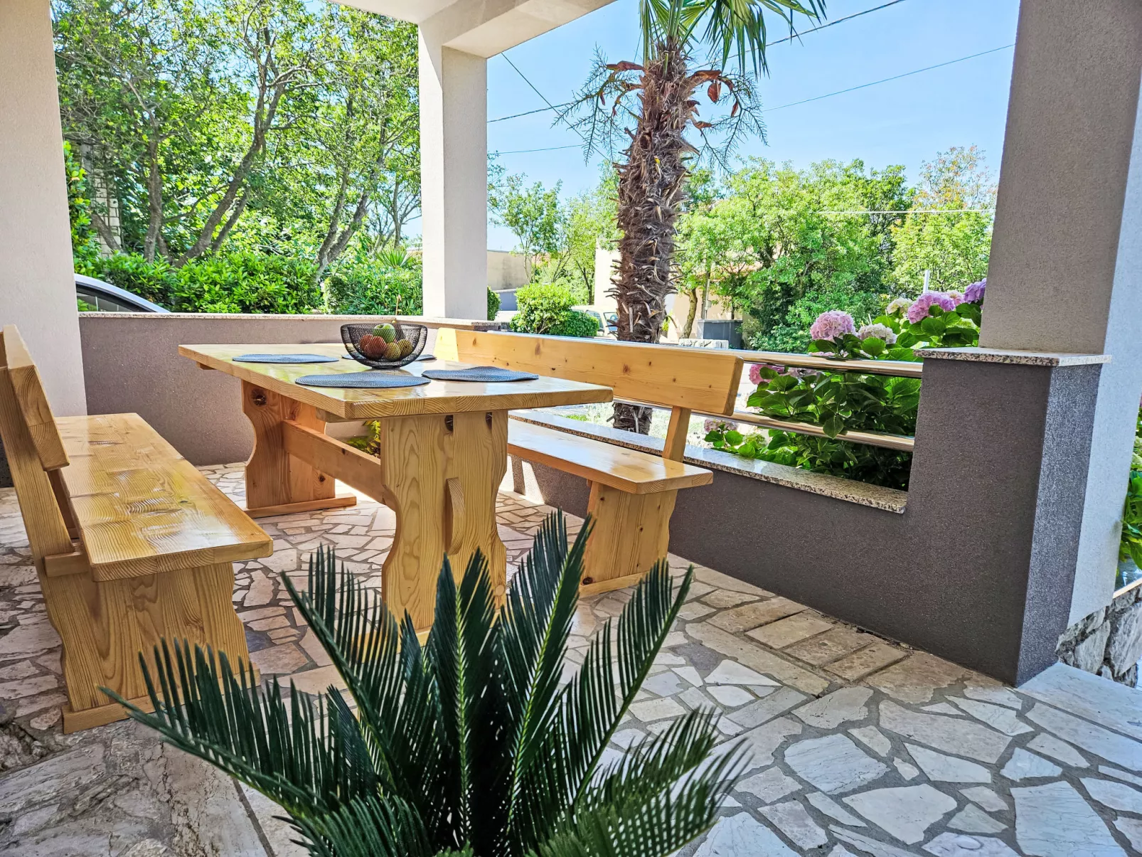 Šegulja-Inside