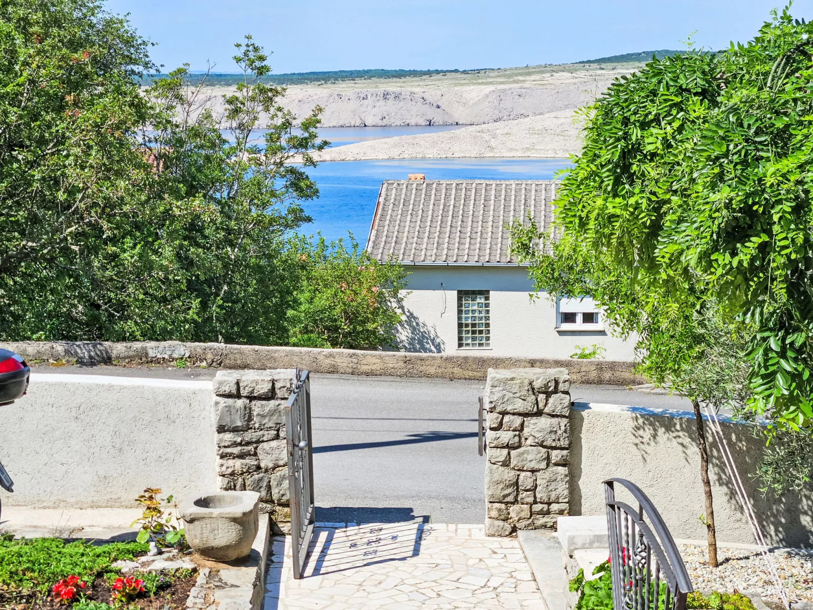Šegulja-Outside