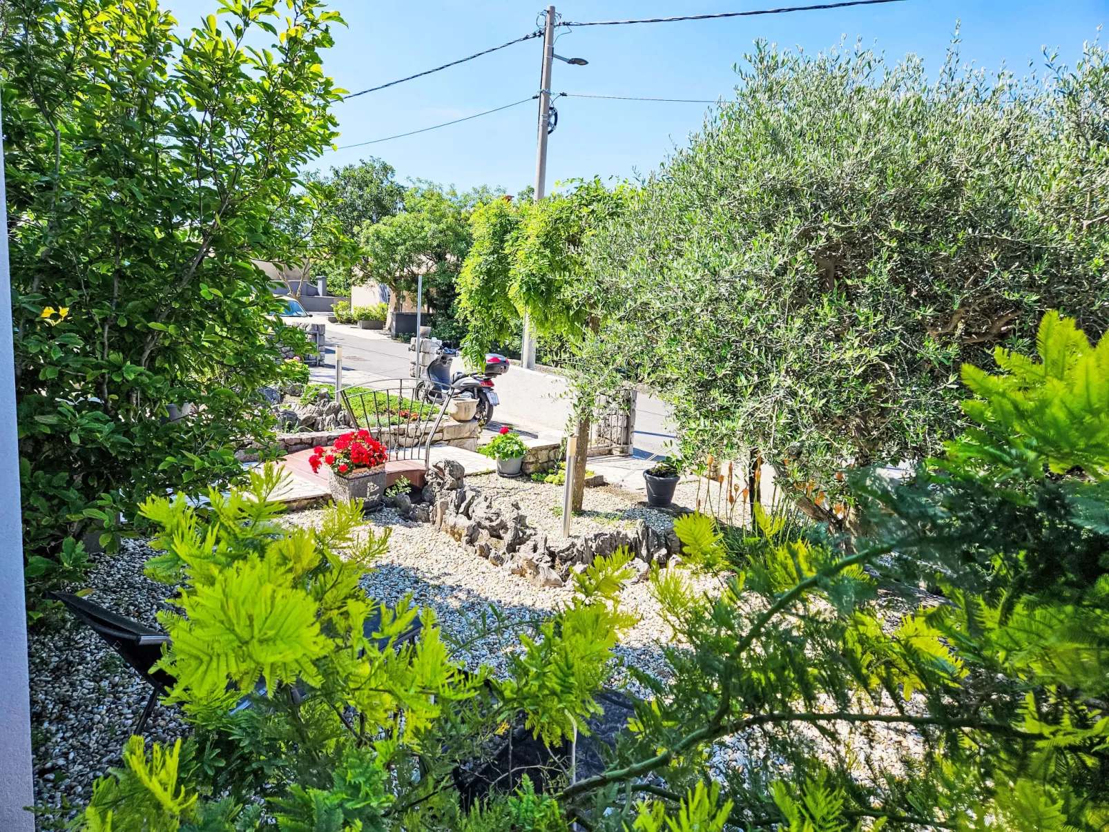 Šegulja-Outside