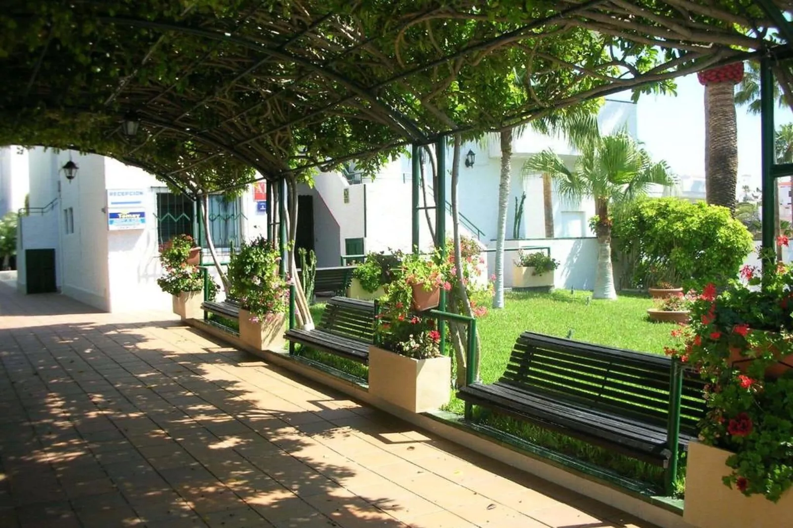 Studio El Sombrero-Gardens summer
