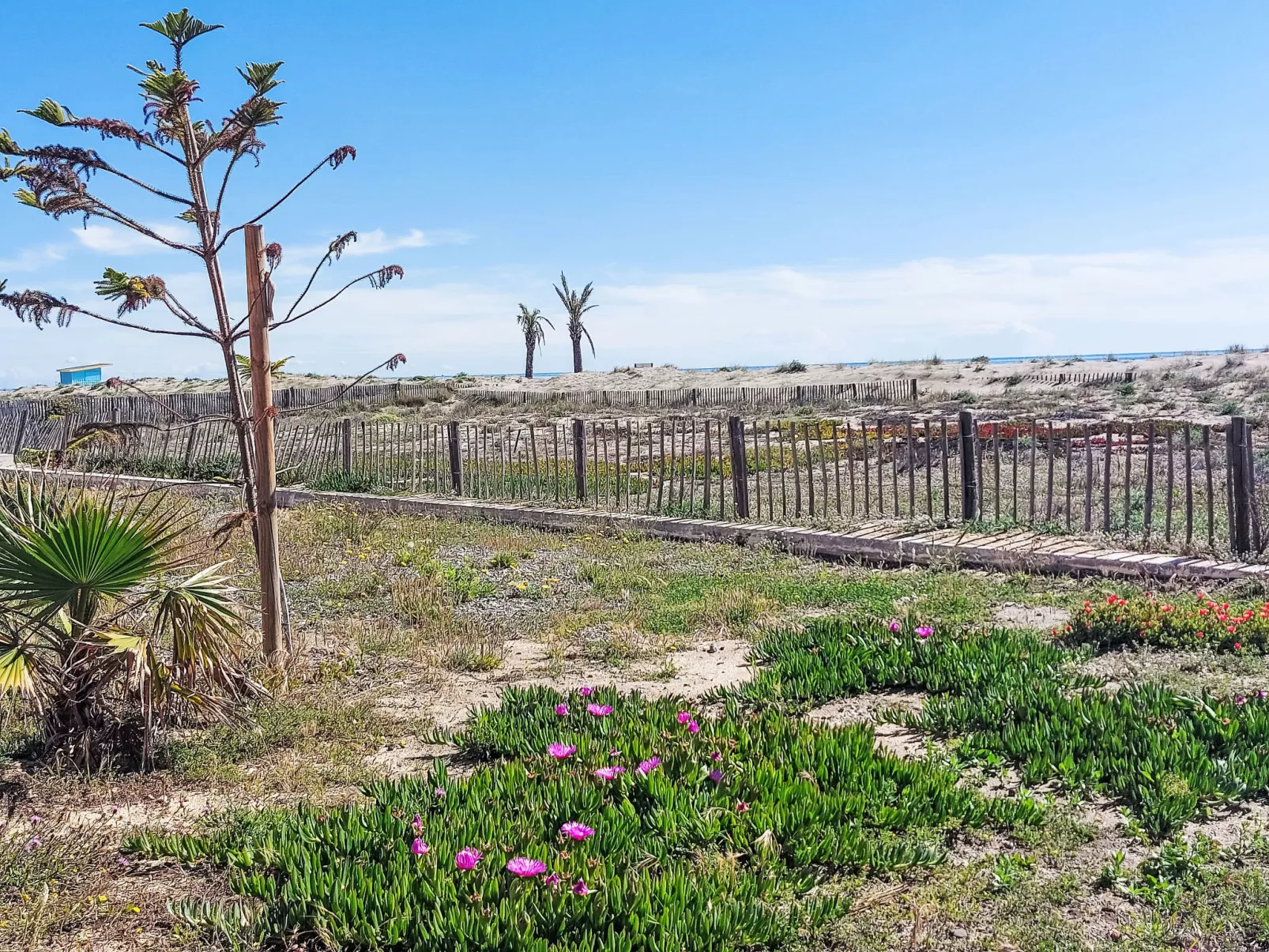 Cap de Mer-Area