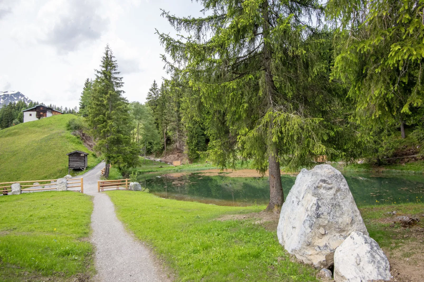 Seeberger-Areas summer 1km