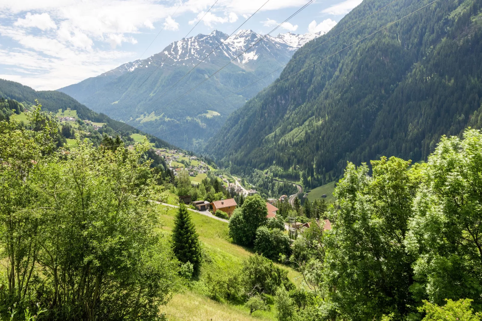 Seeberger-Areas summer 5km