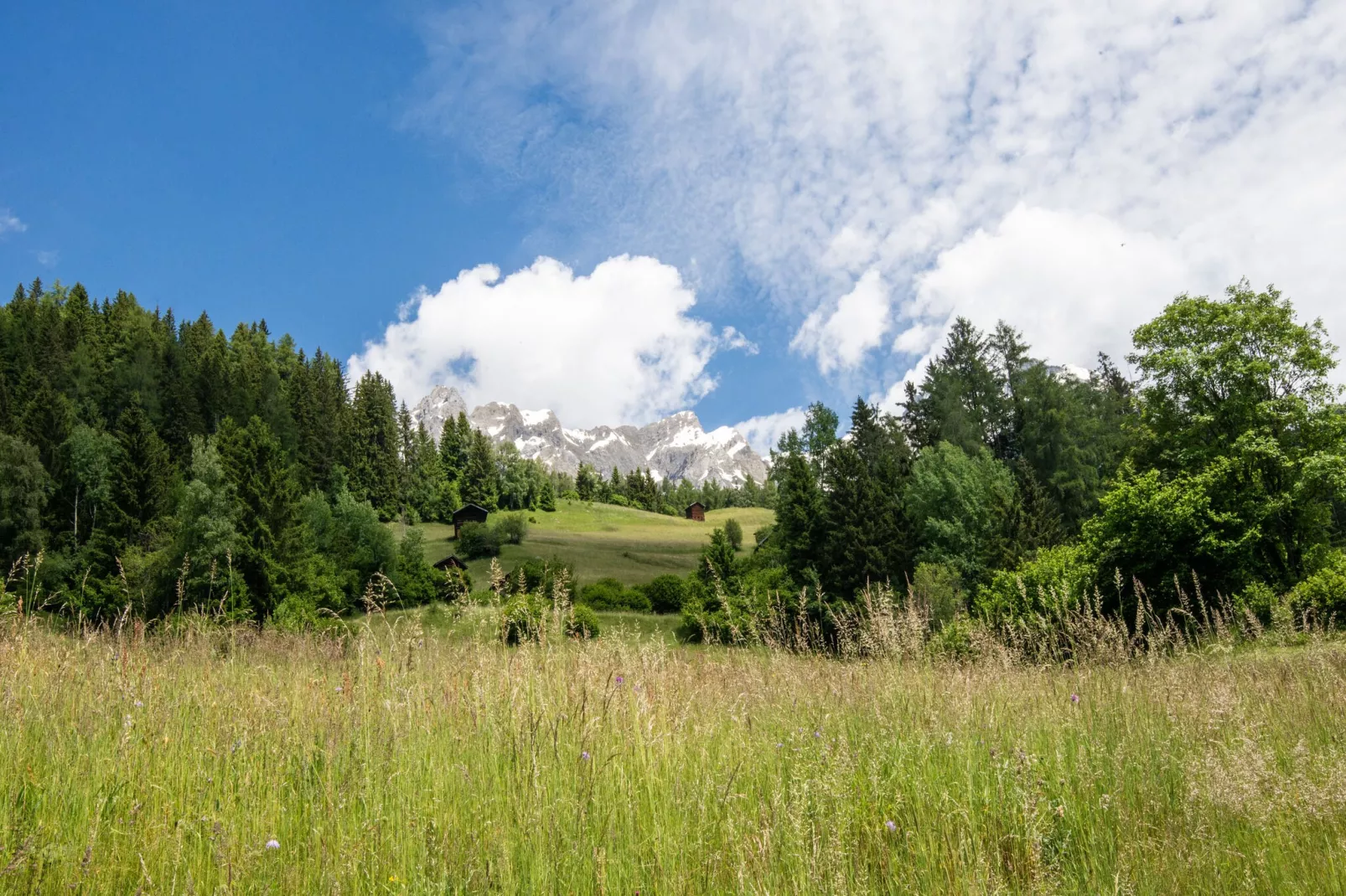 Seeberger-Areas summer 5km