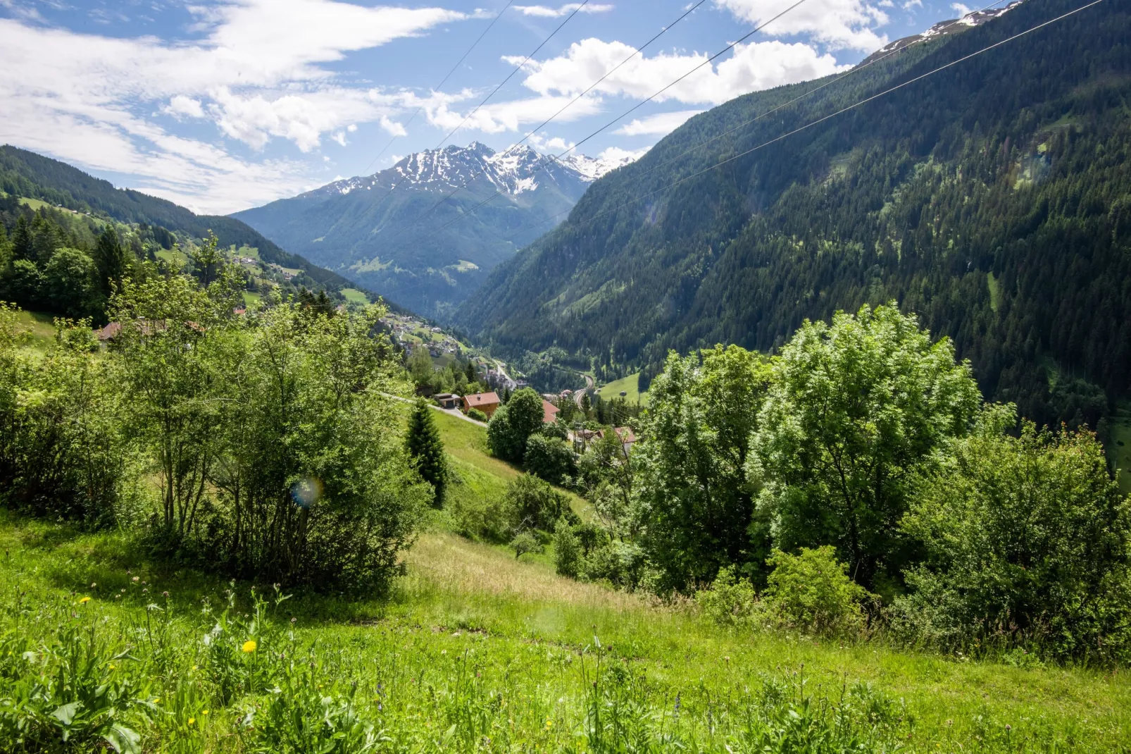 Seeberger-Areas summer 5km