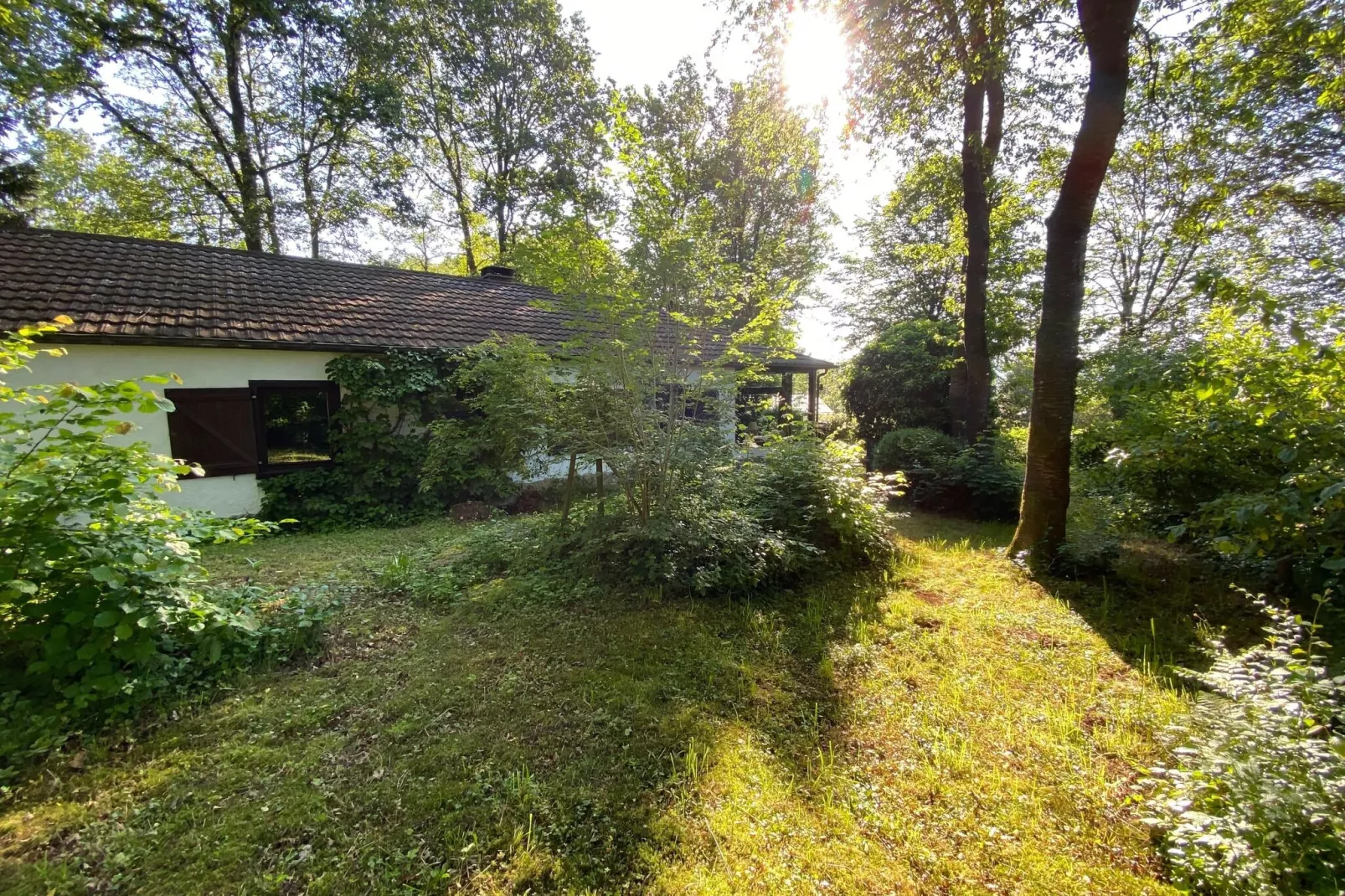 Boogie House-Gardens summer