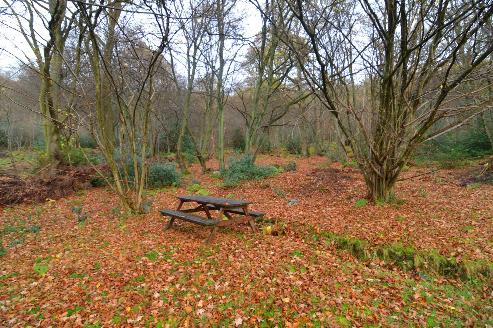 Le 51-Area winter 1km