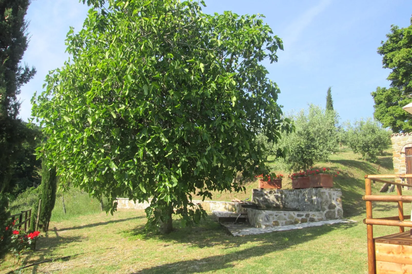 Villa Cielo di stelle-Gärten Sommer