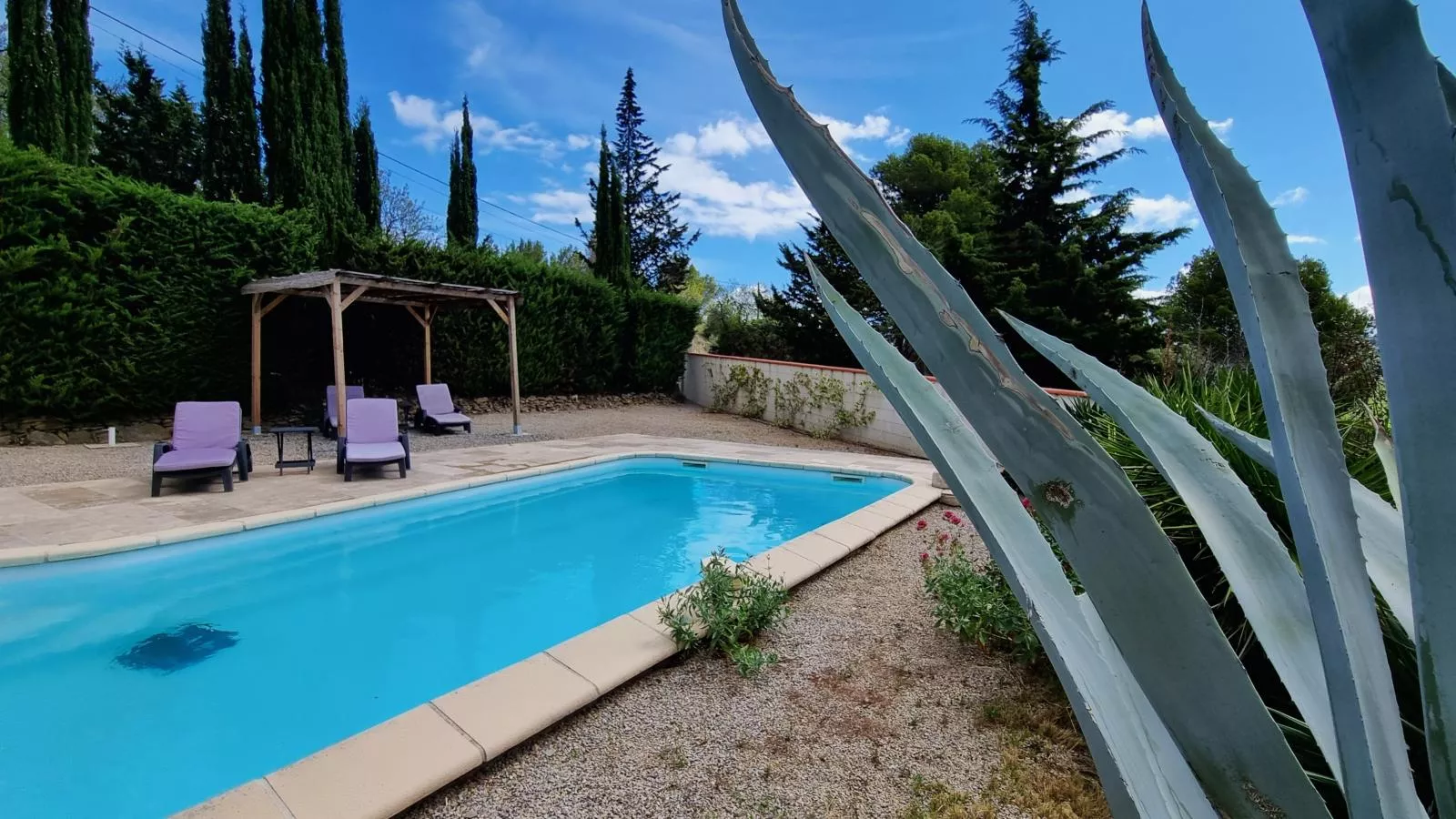 Aioli-Pool