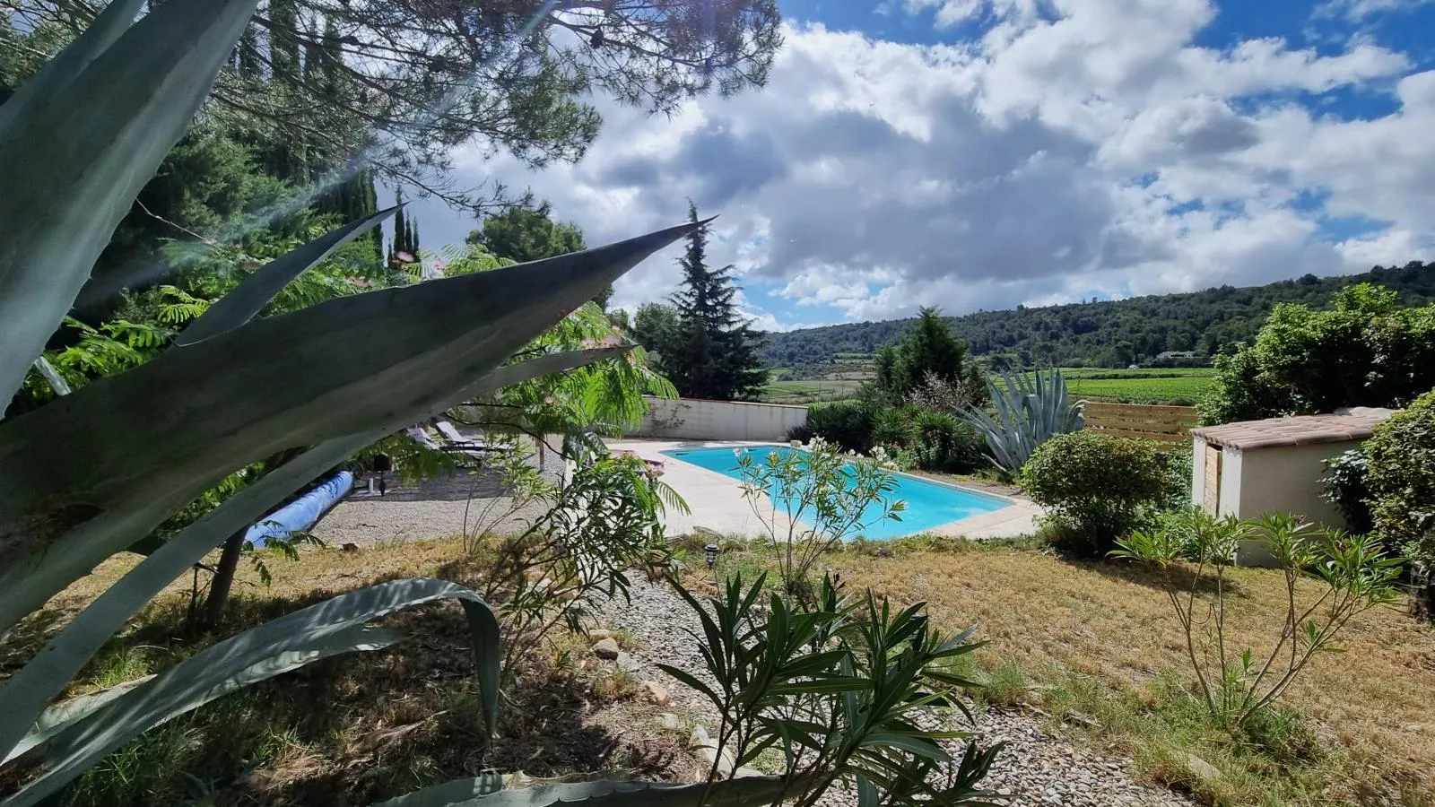 Aioli-Pool