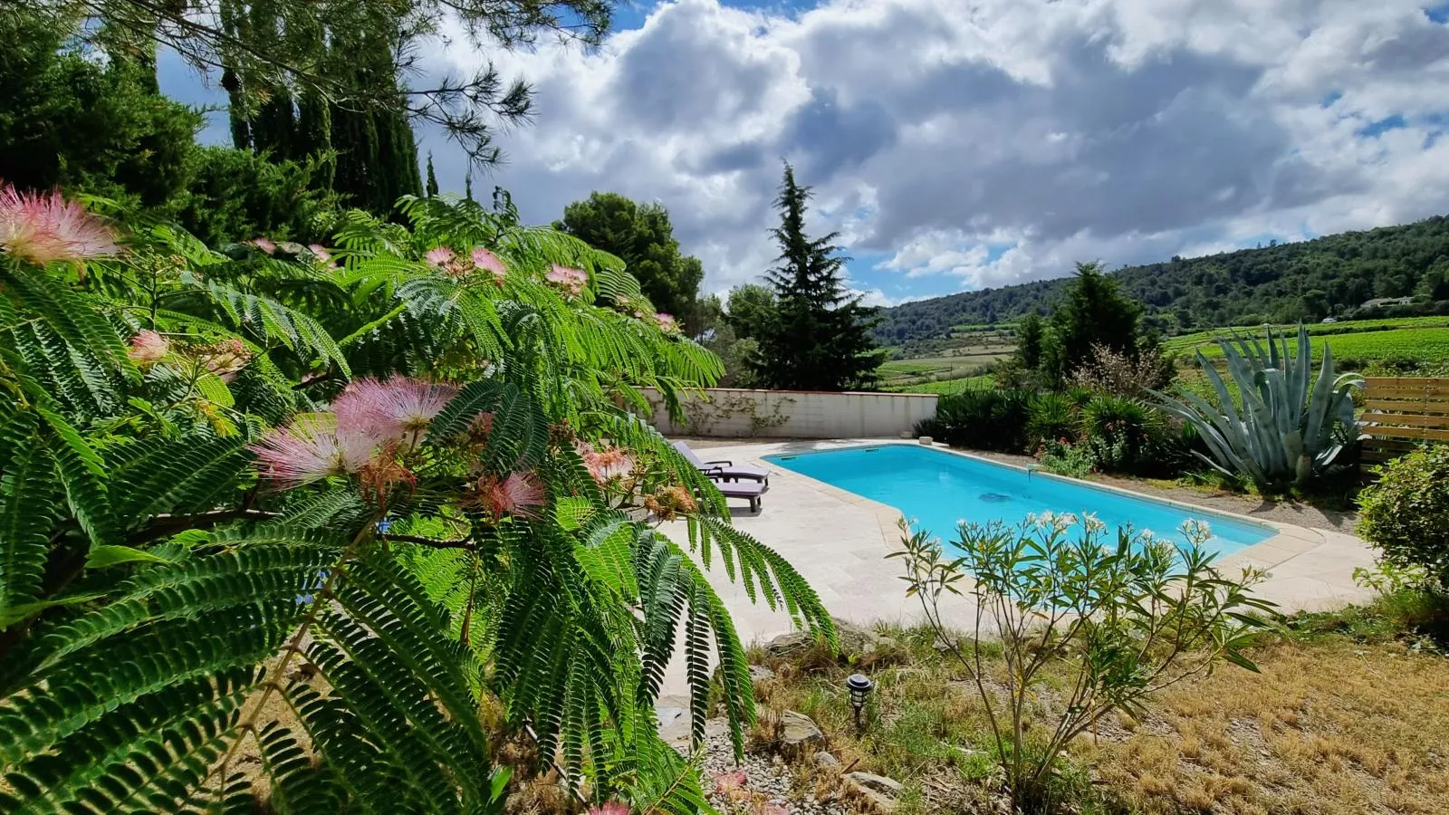 Aioli-Pool