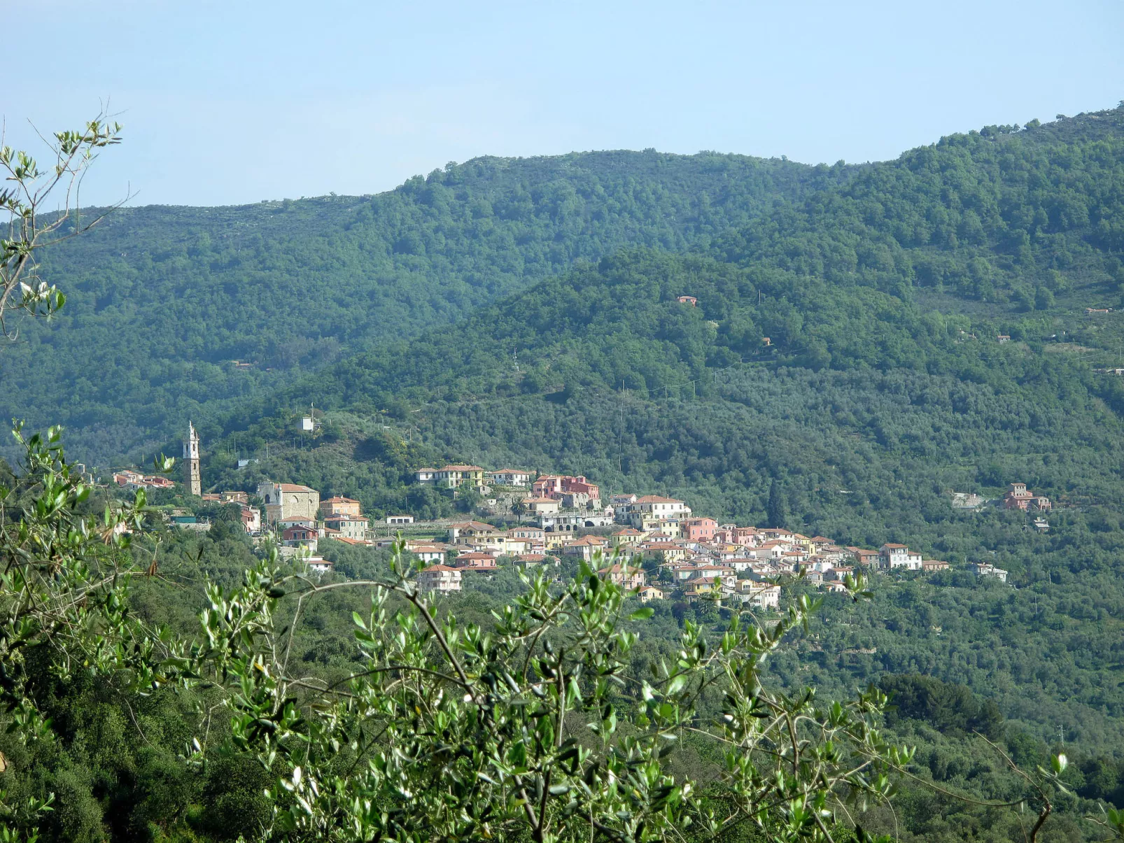 Lidia-Area