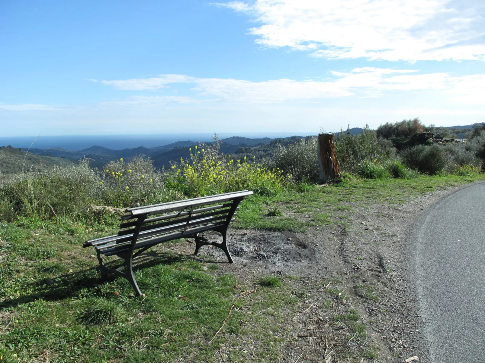 Lidia-Area