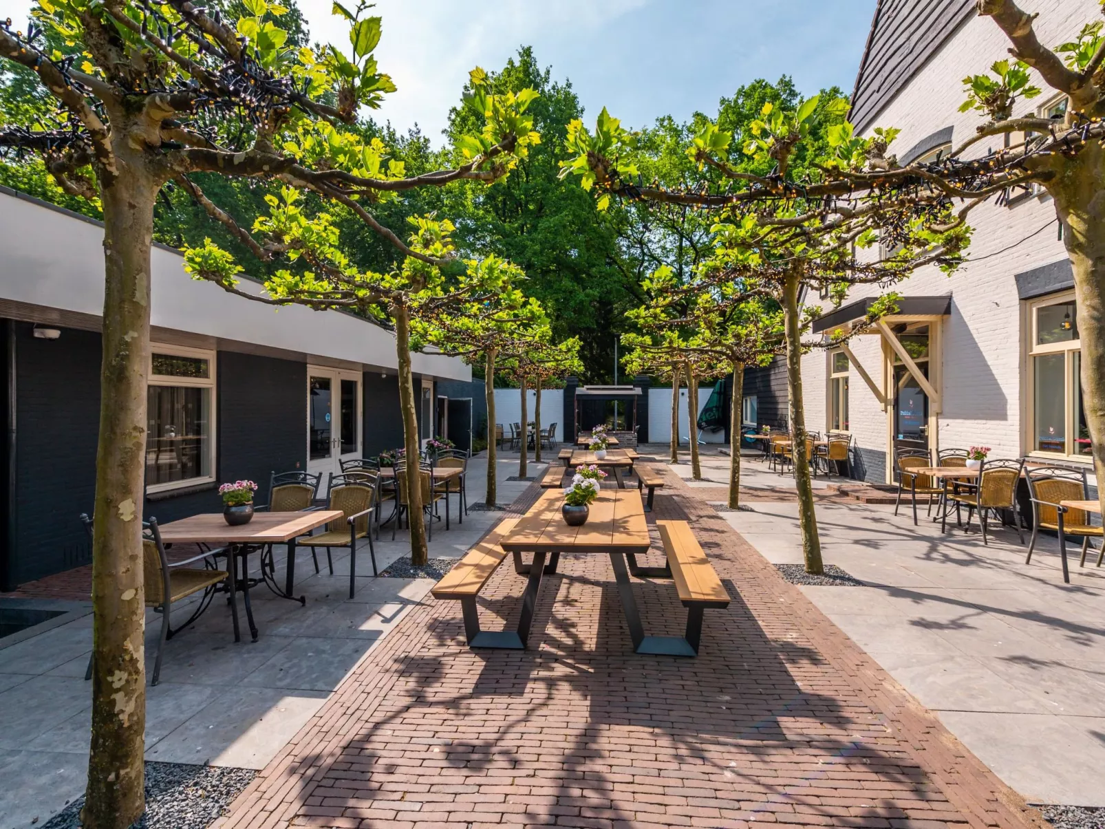 Villa Veluwe 6-Draußen