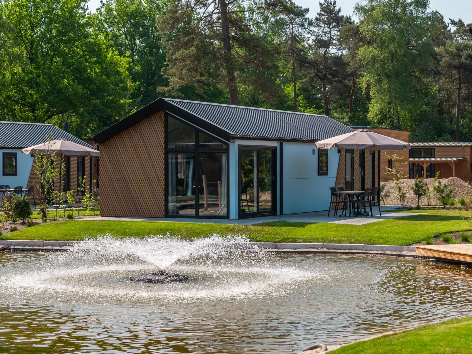 Forest Lodge 4-Area