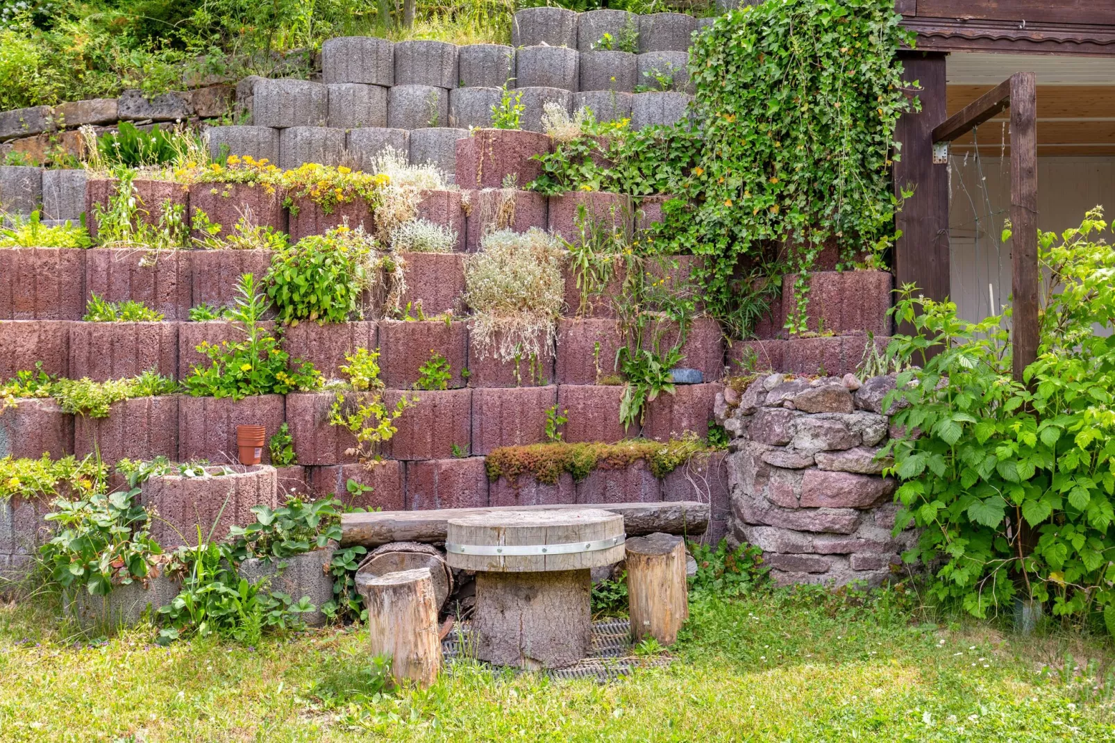Sachsenliebe-Gardens summer