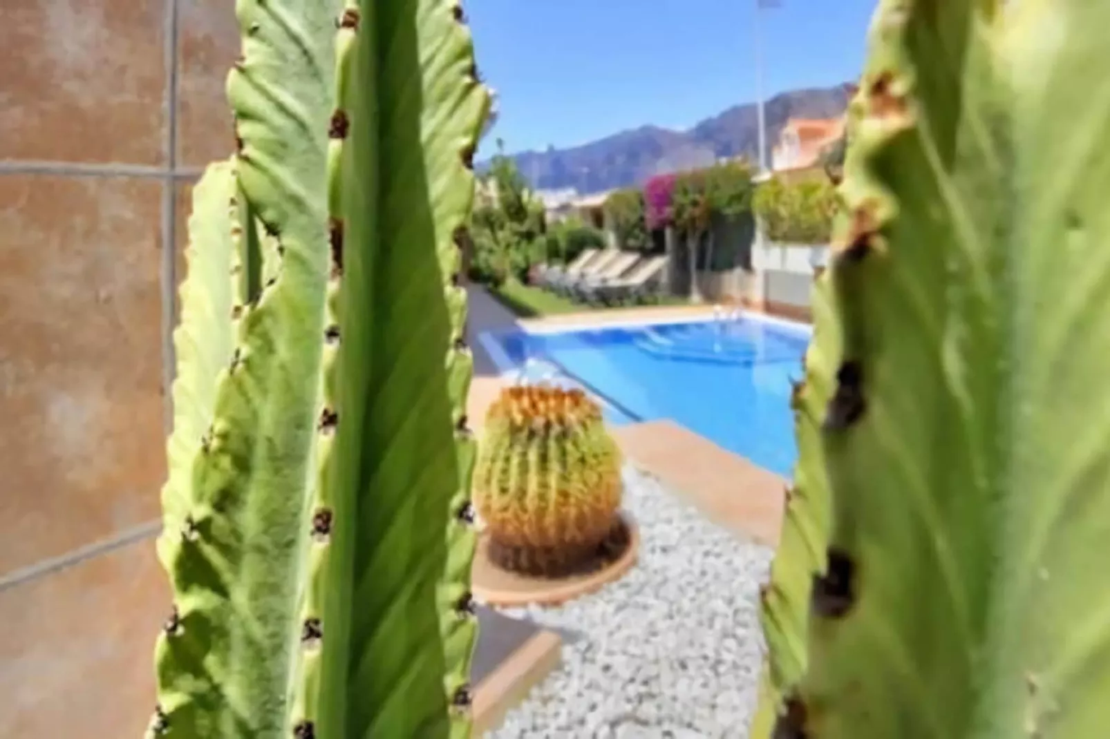 Home Holidays// Villa Home Holidays-Piscine