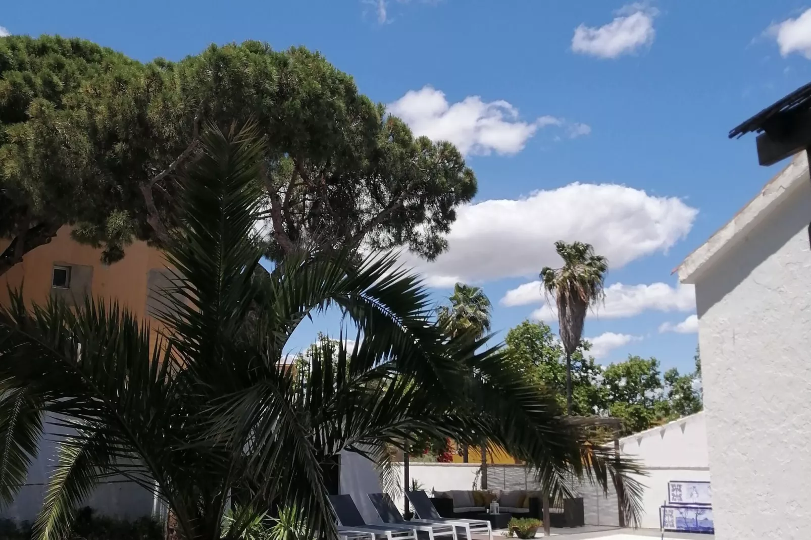 Villa Lili-Gardens summer