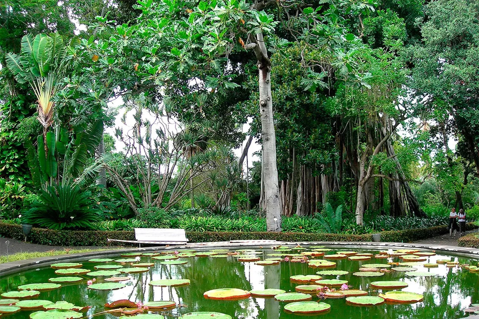El Puerto de la Cruz-Gardens summer