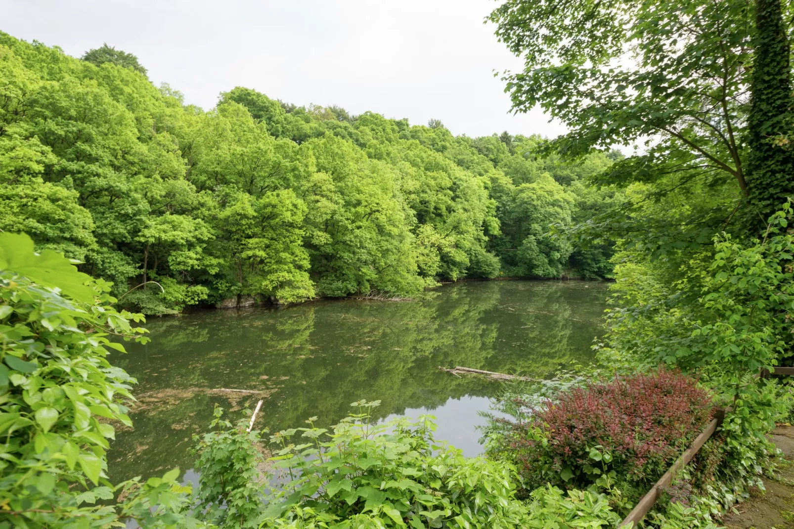 Le Jardin des Eaux