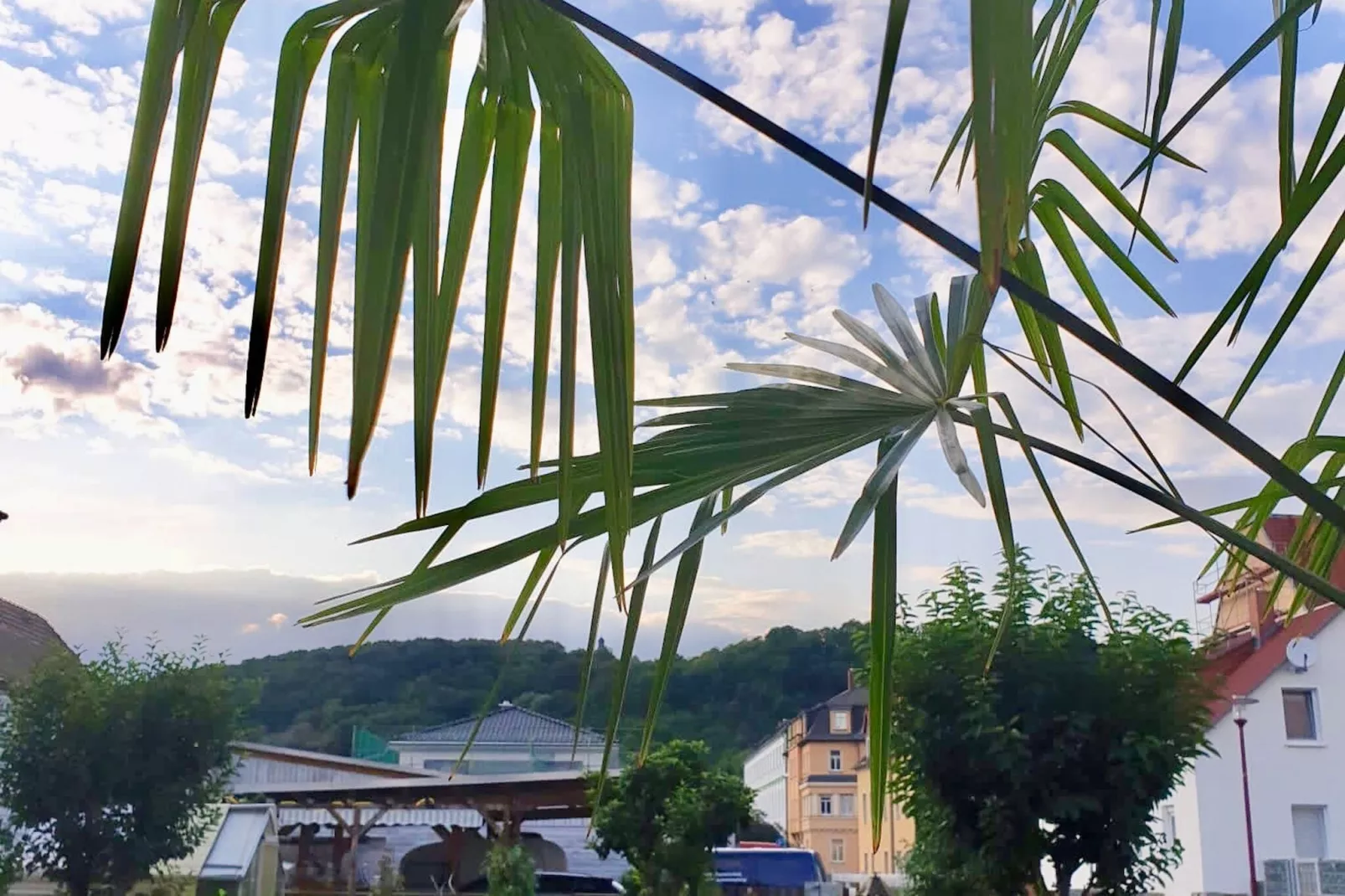 Ferienwohnung Freital-Dresden-Vue d'été