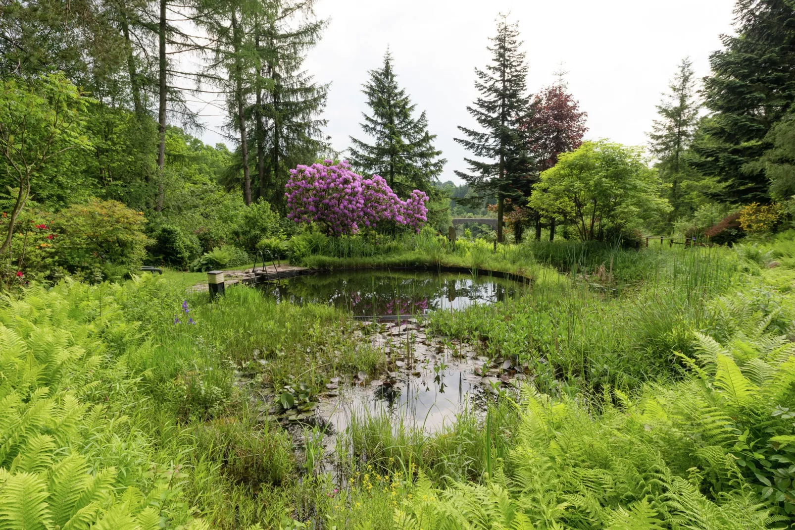Le Jardin des Eaux - Jardins en été