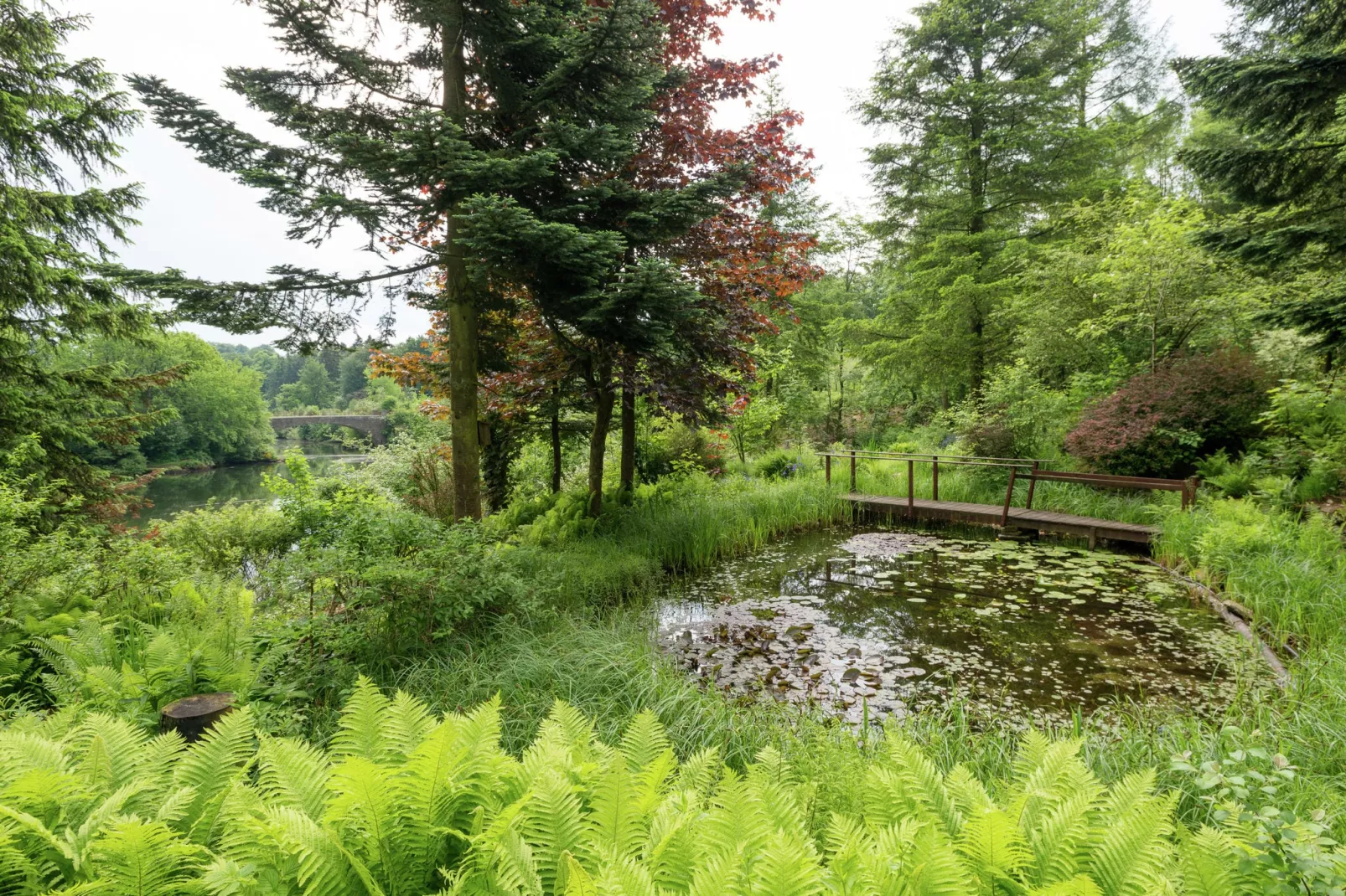 Le Jardin des Eaux - Jardins en été