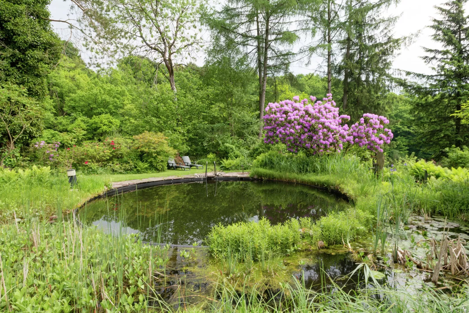 Le Jardin des Eaux - Jardins en été