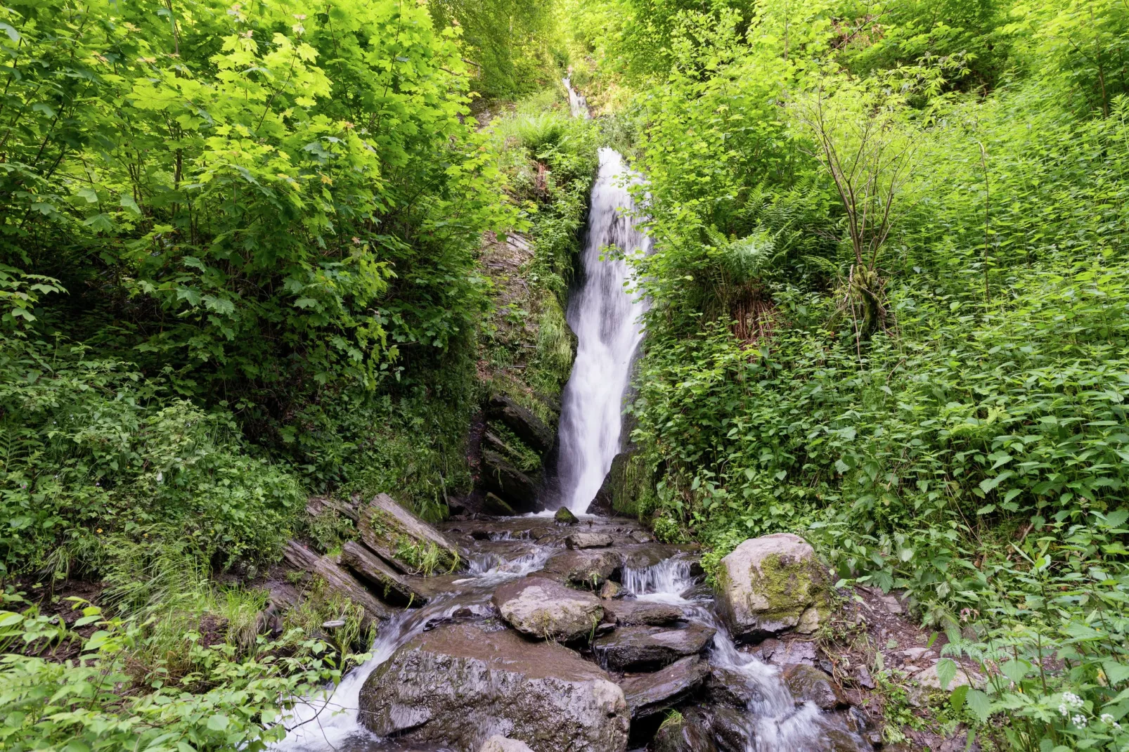Le Jardin des Eaux - Zones été à 5 km