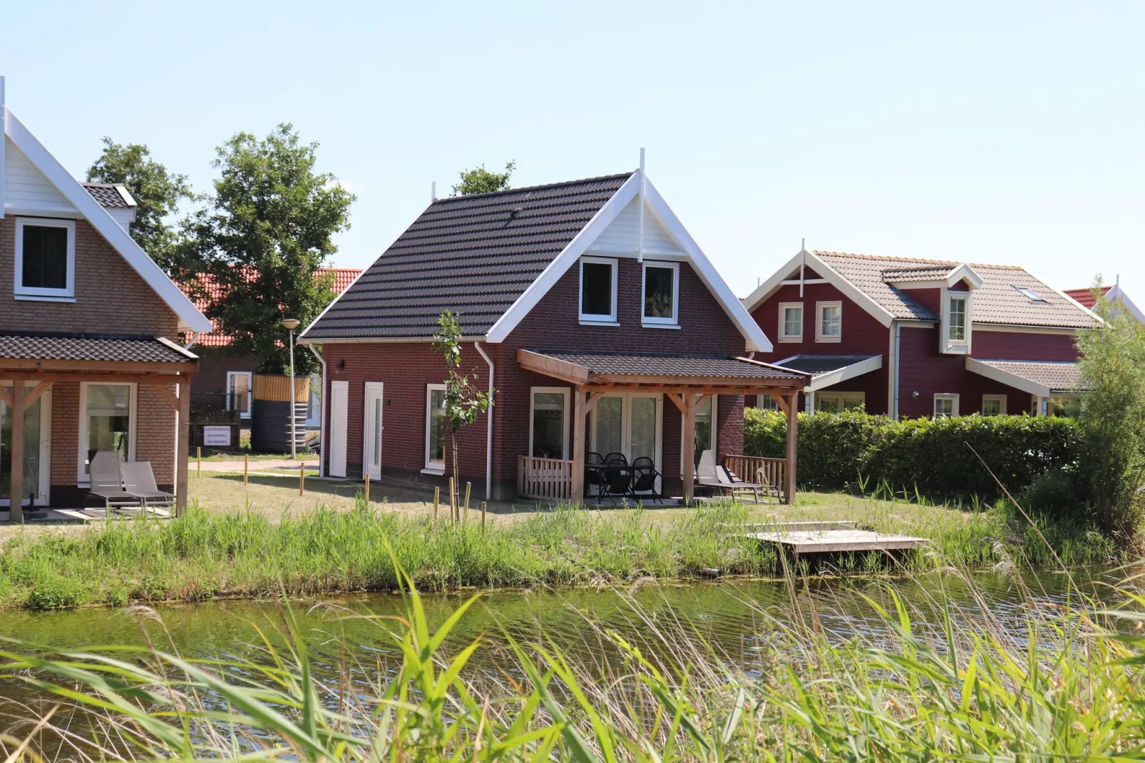 Kuifduiker 3-Exterior summer