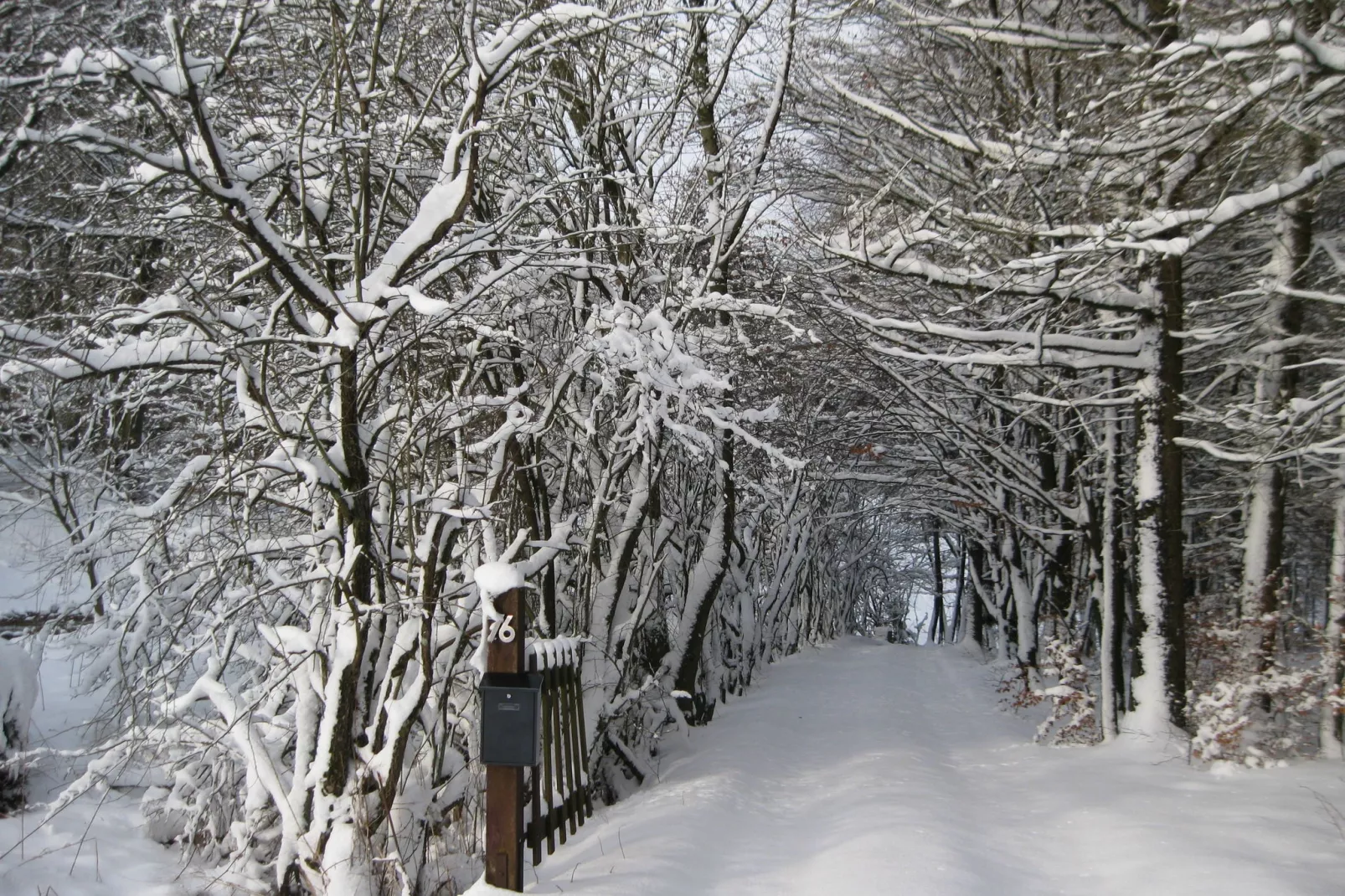 Le Jardin des Eaux - Jardin en hiver