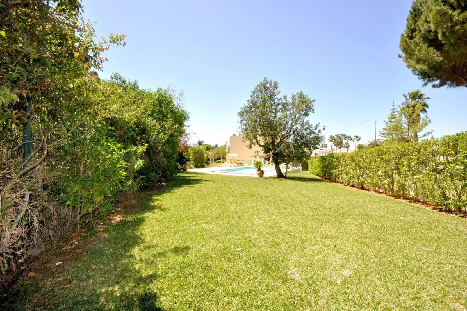 Villa Garden-Gardens summer