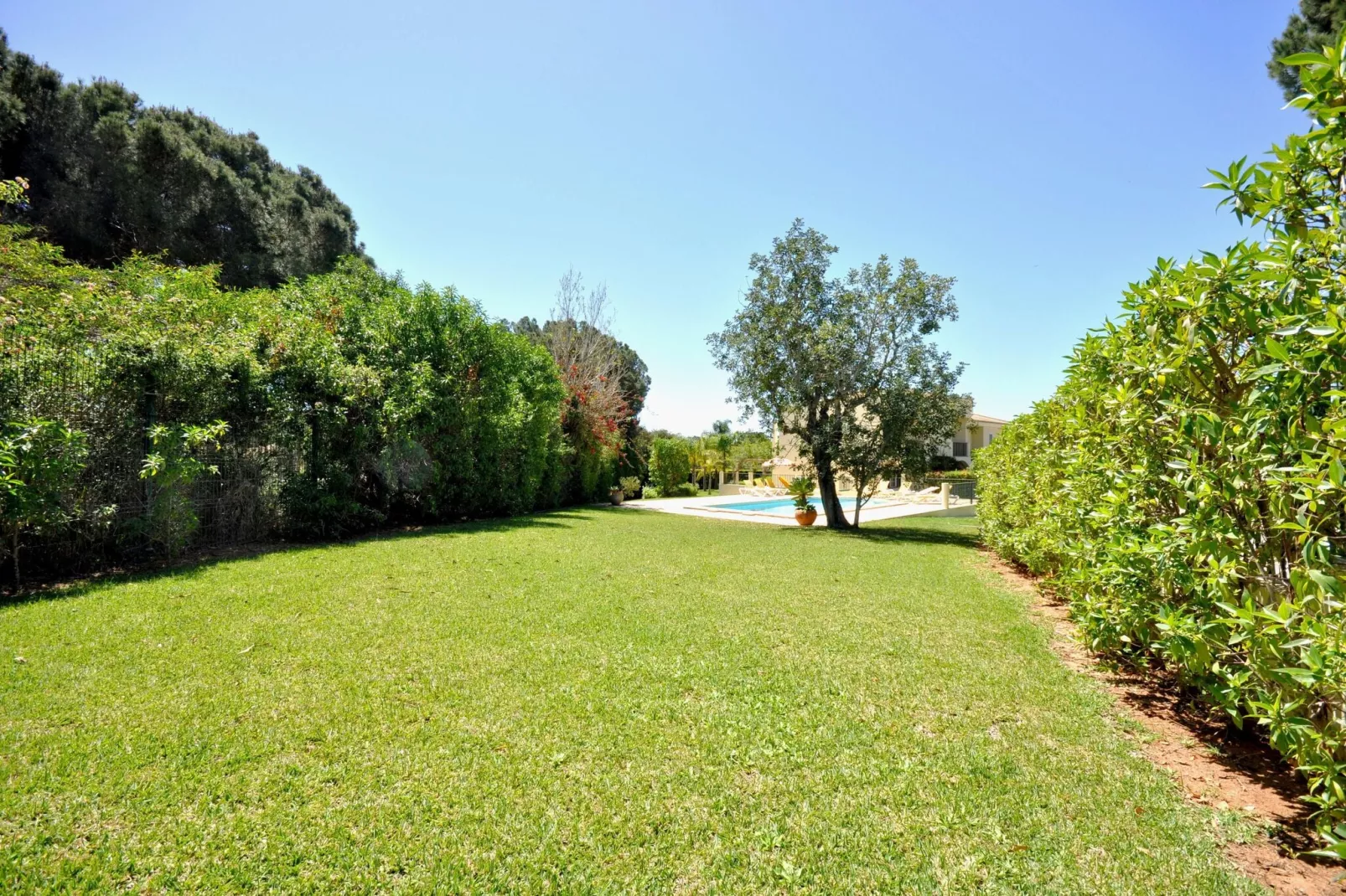 Villa Garden-Gardens summer
