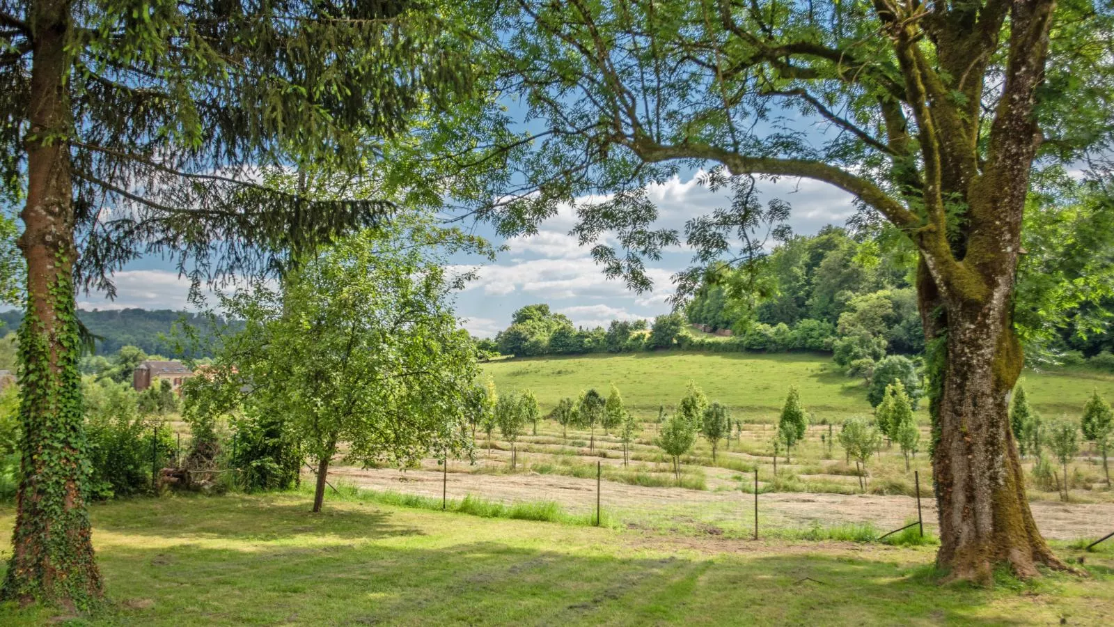 Gite du Verger-Aussicht Sommer