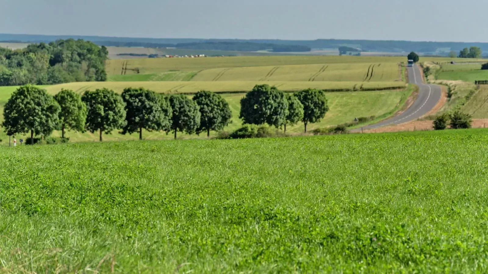 Gite du Verger-Gebiete Sommer 5 km