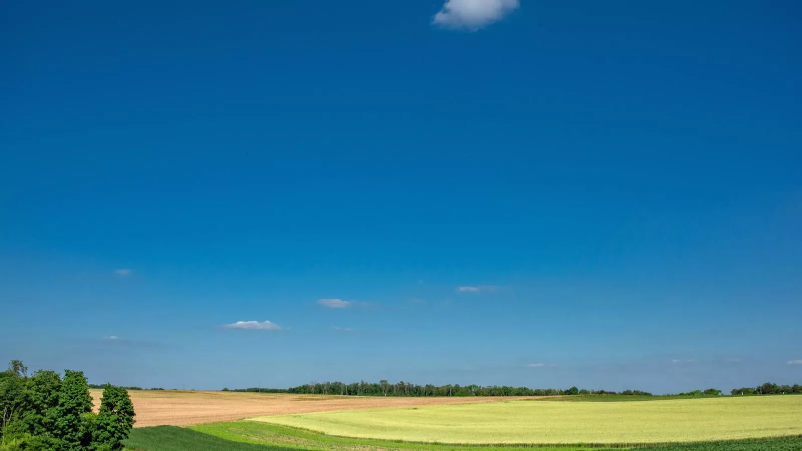 Gite du Bois-Areas summer 1km