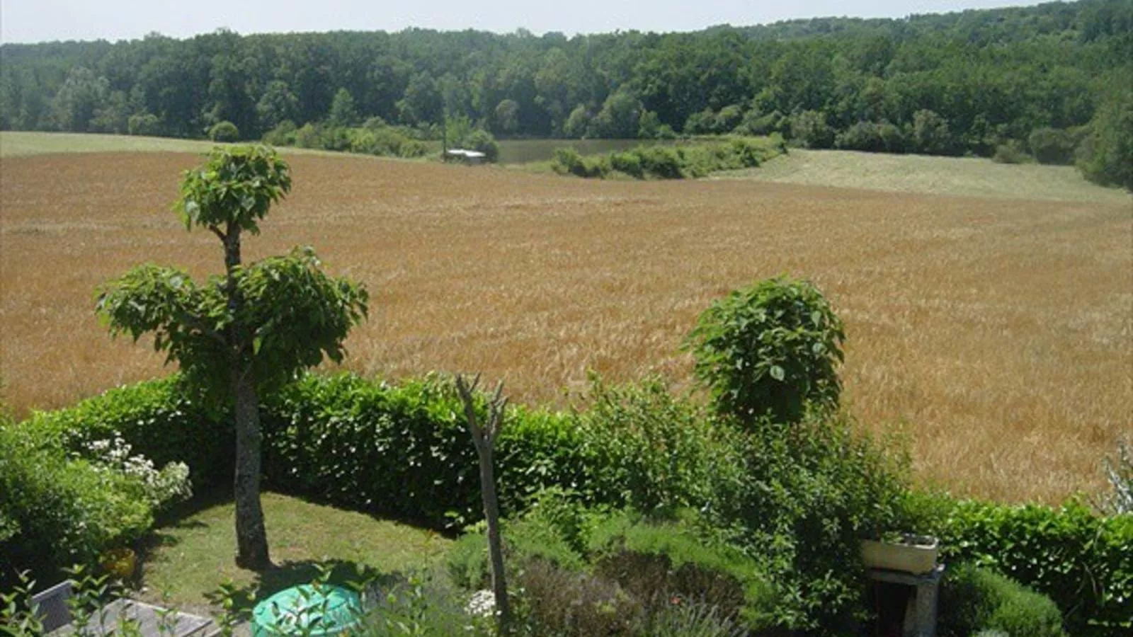 Tournesol-View summer